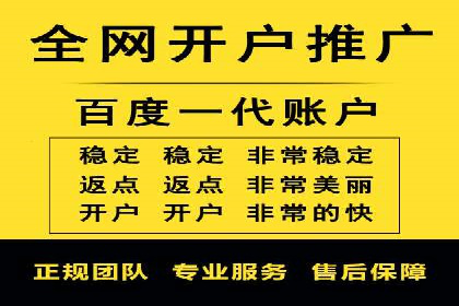 成功SEM托管案例解析